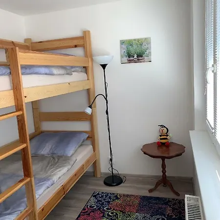 Tt10 Botanicka Apartament