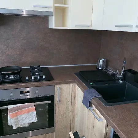 Tt10 Botanicka Apartament *