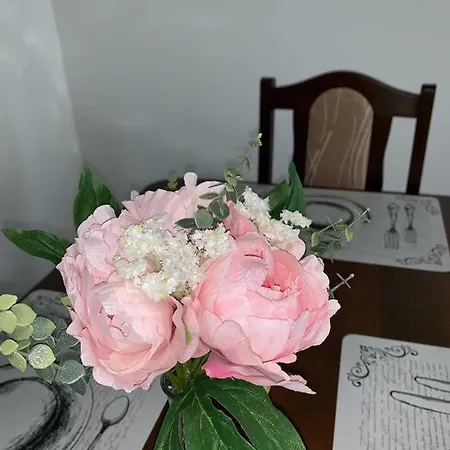 Tt10 Botanicka Apartament Trnawa